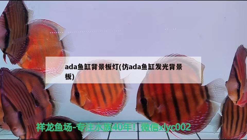 ada魚缸背景板燈(仿ada魚缸發(fā)光背景板) 巴西亞魚苗