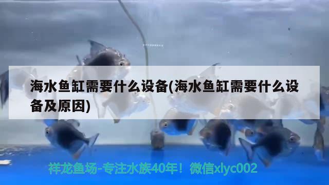 水族品牌十大名牌排名圖片：水族品牌十大名牌排名圖片