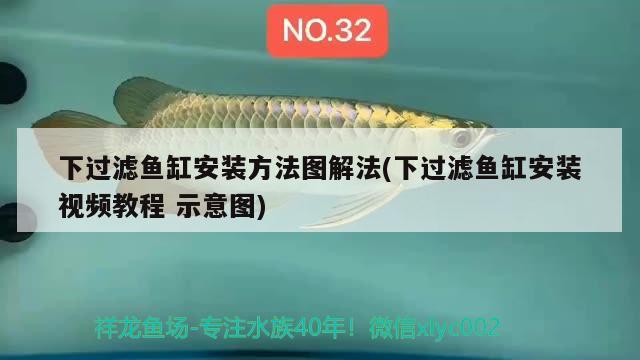 如何合理安裝魚缸里面的裝飾物安裝石頭和水草安裝人工裝飾物，如何合理安裝魚缸里面的裝飾品 水草 第2張