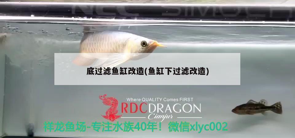 底過濾魚缸改造(魚缸下過濾改造)