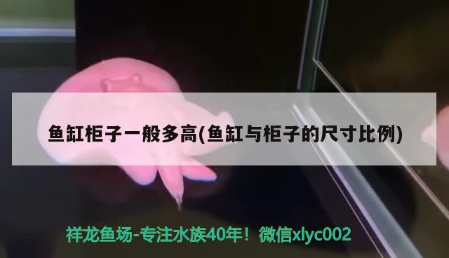 魚缸裂縫了怎么辦視頻講解 魚缸裂縫了怎么辦視頻講解圖 水族用品 第2張