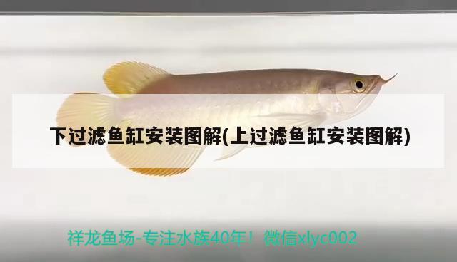 下過濾魚缸安裝圖解(上過濾魚缸安裝圖解)