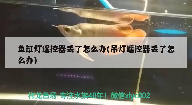 魚缸燈遙控器丟了怎么辦(吊燈遙控器丟了怎么辦) 女王大帆魚