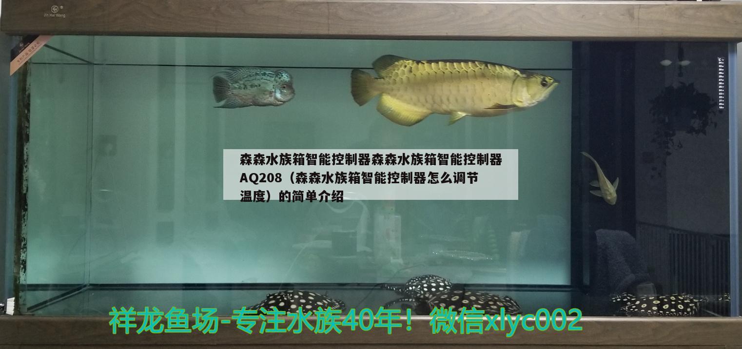 森森水族箱智能控制器森森水族箱智能控制器AQ208（森森水族箱智能控制器怎么調(diào)節(jié)溫度）的簡單介紹 魚缸/水族箱