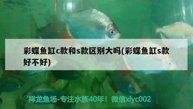 彩蝶魚缸c款和s款區(qū)別大嗎(彩蝶魚缸s款好不好) 其他益生菌