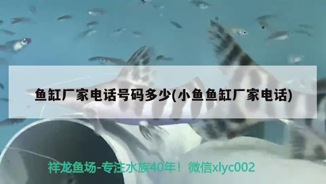 鄭州魚缸清洗公司電話多少?。ㄠ嵵菔恤~缸批發(fā)市場在哪里）