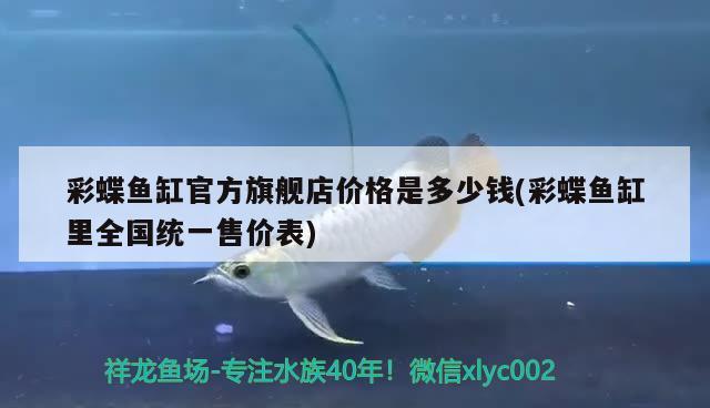 彩蝶魚(yú)缸官方旗艦店價(jià)格是多少錢(qián)(彩蝶魚(yú)缸里全國(guó)統(tǒng)一售價(jià)表)