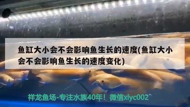 魚缸大小會不會影響魚生長的速度(魚缸大小會不會影響魚生長的速度變化) 刀魚魚