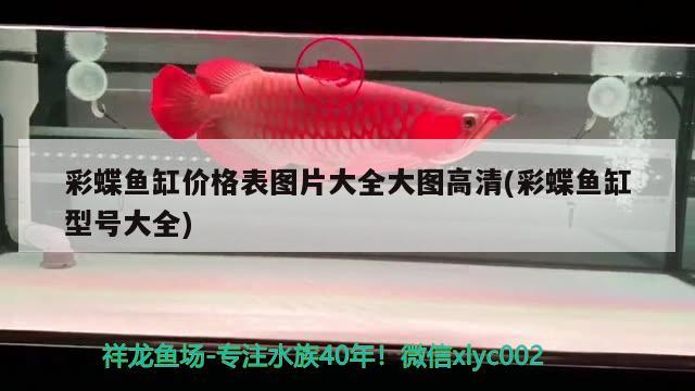 彩蝶魚缸價(jià)格表圖片大全大圖高清(彩蝶魚缸型號(hào)大全)