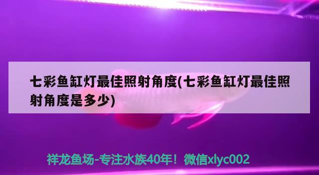 七彩魚(yú)缸燈最佳照射角度(七彩魚(yú)缸燈最佳照射角度是多少) 薩伊藍(lán)魚(yú)
