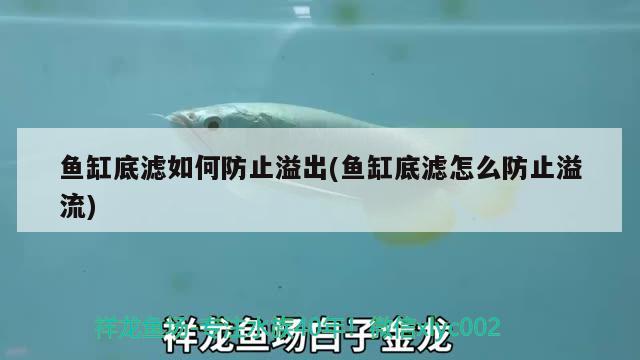 魚缸底濾如何防止溢出(魚缸底濾怎么防止溢流)