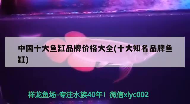 養(yǎng)魚(yú)魚(yú)缸水渾濁怎么辦，魚(yú)缸水渾濁怎么辦，，養(yǎng)魚(yú)魚(yú)缸水渾濁怎么辦 野彩魚(yú) 第3張