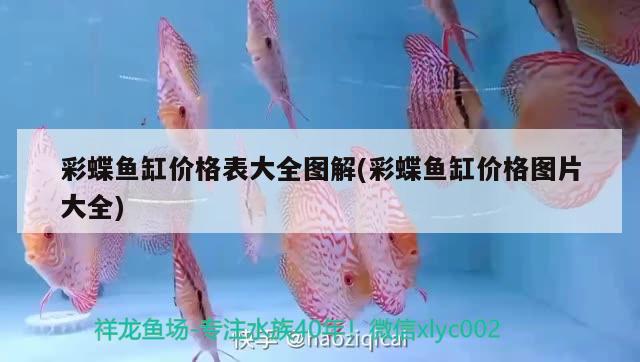 彩蝶魚缸價格表大全圖解(彩蝶魚缸價格圖片大全) 虎紋銀版魚