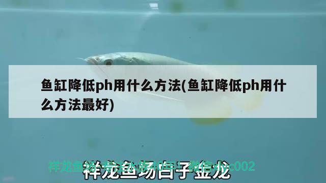 魚缸降低ph用什么方法(魚缸降低ph用什么方法最好) 野生地圖魚