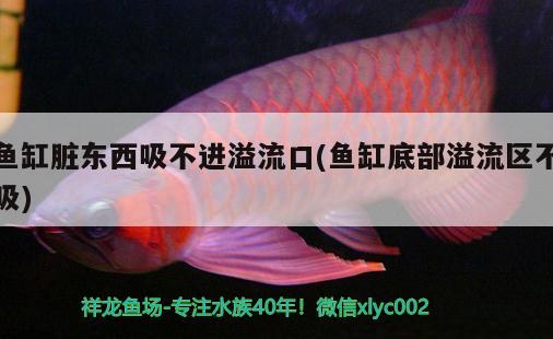 呂梁魚(yú)缸換水電話地址（呂梁魚(yú)缸換水電話地址查詢）