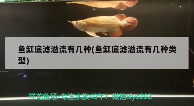 魚(yú)缸底濾溢流有幾種(魚(yú)缸底濾溢流有幾種類型)