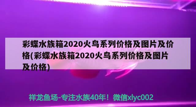 彩蝶水族箱2020火鳥系列價(jià)格及圖片及價(jià)格(彩蝶水族箱2020火鳥系列價(jià)格及圖片及價(jià)格) 魚缸/水族箱