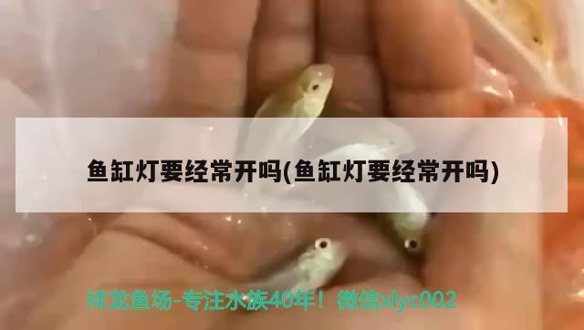 魚缸燈要經(jīng)常開嗎(魚缸燈要經(jīng)常開嗎)