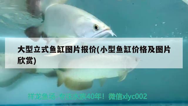 大型立式魚(yú)缸圖片報(bào)價(jià)(小型魚(yú)缸價(jià)格及圖片欣賞) 泰國(guó)虎魚(yú)