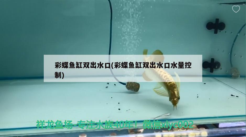 彩蝶魚缸雙出水口(彩蝶魚缸雙出水口水量控制)