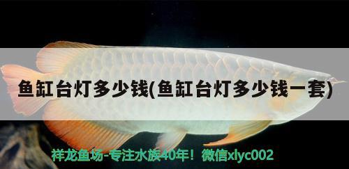 中國龍魚繁殖基地在哪個城市（金龍魚在國內(nèi)有多少生產(chǎn)基地） 翡翠鳳凰魚 第1張