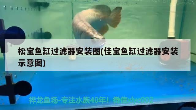 烏拉特前旗烏拉山喜芝水族店 全國水族館企業(yè)名錄 第2張