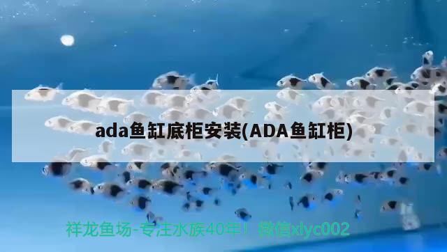 ada魚缸底柜安裝(ADA魚缸柜)