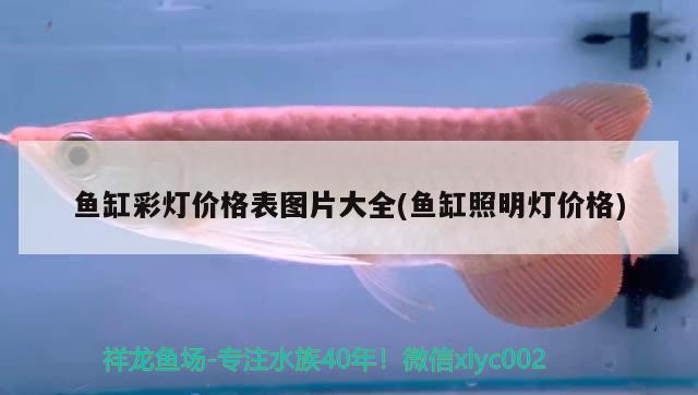 魚缸彩燈價(jià)格表圖片大全(魚缸照明燈價(jià)格)