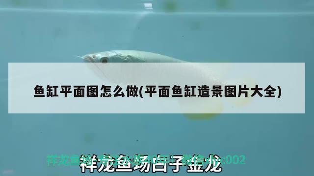 天王牌魚(yú)缸質(zhì)量怎么樣（最好的生態(tài)魚(yú)缸是哪個(gè)牌子）