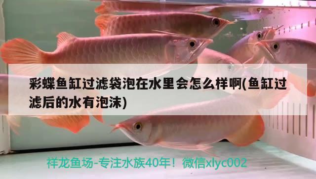 彩蝶魚缸過濾袋泡在水里會怎么樣啊(魚缸過濾后的水有泡沫)