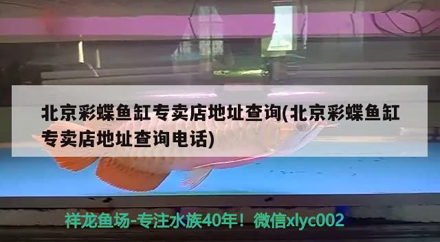 北京彩蝶魚缸專賣店地址查詢(北京彩蝶魚缸專賣店地址查詢電話)