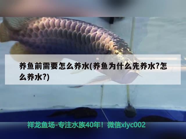 養(yǎng)魚(yú)前需要怎么養(yǎng)水(養(yǎng)魚(yú)為什么先養(yǎng)水?怎么養(yǎng)水?)