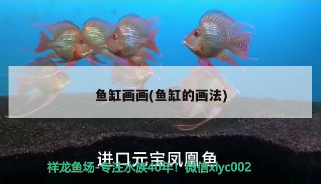 魚缸畫畫(魚缸的畫法)