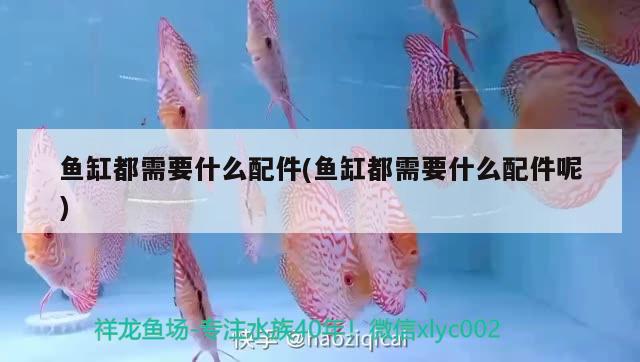 柳州魚缸換氣多少錢一臺啊價格：魚缸換氣需要一直開嗎 廣州水族批發(fā)市場 第1張