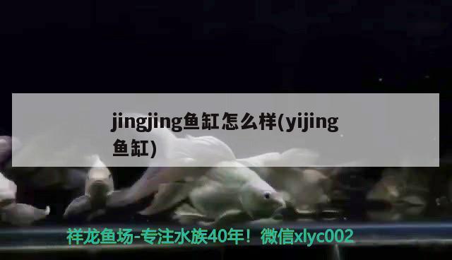 jingjing魚缸怎么樣(yijing魚缸) 祥龍龍魚專用水族燈