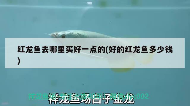 魚缸下置過濾器安裝圖（sunsun過濾器怎么裝） 羅漢魚 第2張