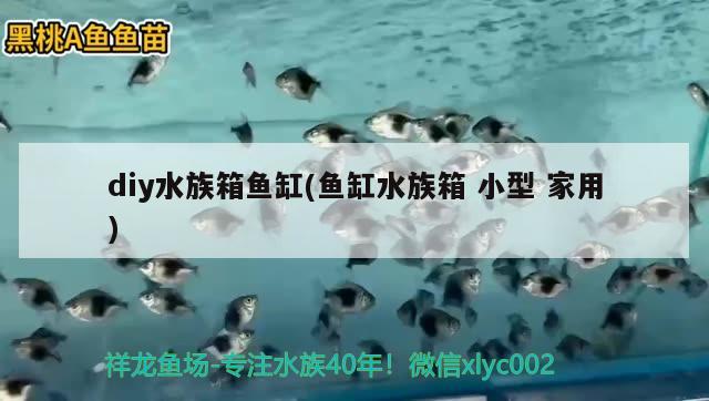 diy水族箱魚缸(魚缸水族箱小型家用)