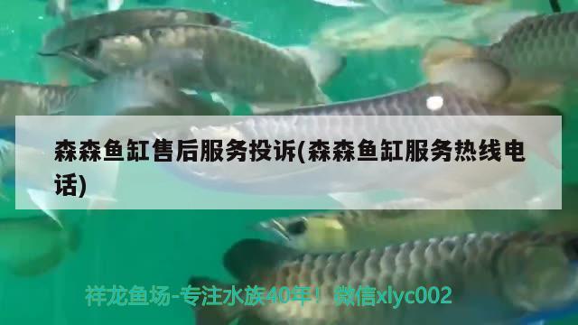 森森魚(yú)缸售后服務(wù)投訴(森森魚(yú)缸服務(wù)熱線電話)