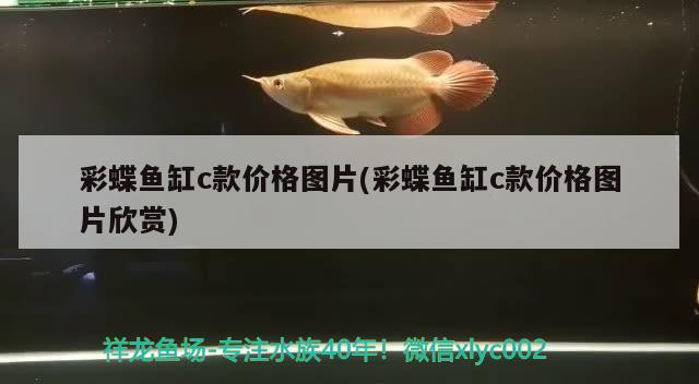 彩蝶魚缸c款價格圖片(彩蝶魚缸c款價格圖片欣賞)