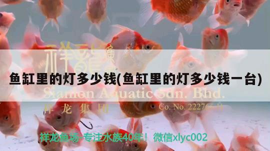 哈爾濱魚(yú)缸搬運(yùn)電話號(hào)：哈爾濱魚(yú)缸搬運(yùn)電話號(hào)碼