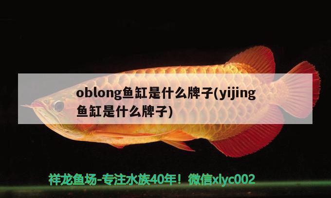 oblong魚缸是什么牌子(yijing魚缸是什么牌子)