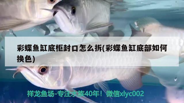 彩蝶魚缸底柜封口怎么拆(彩蝶魚缸底部如何換色) 充氧泵