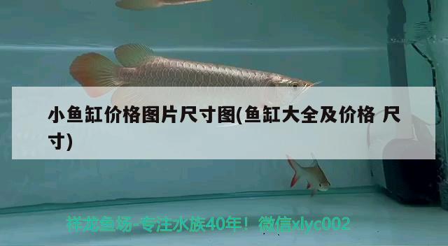 底濾魚缸是怎么吸走糞便的 底濾魚缸是怎么吸走糞便的呢 印尼四紋虎 第1張