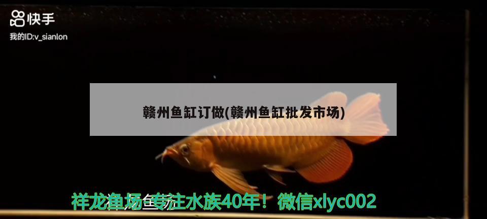 贛州魚缸訂做(贛州魚缸批發(fā)市場) 白子銀版魚苗