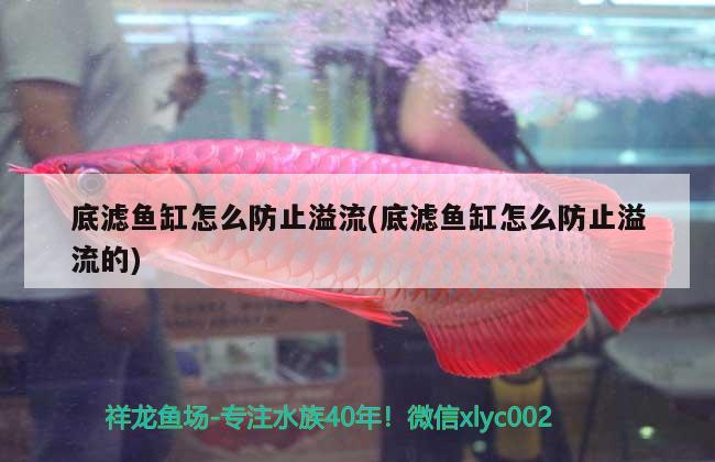 底濾魚缸怎么防止溢流(底濾魚缸怎么防止溢流的)