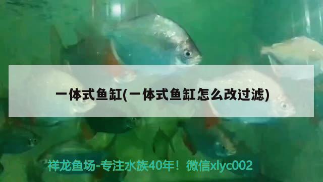 一體式魚缸(一體式魚缸怎么改過濾)