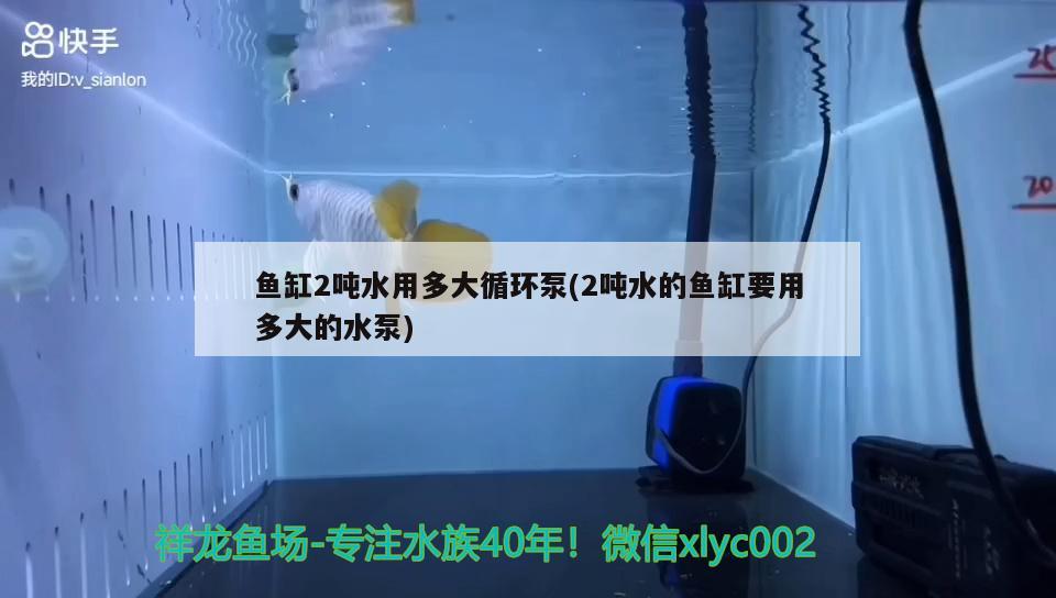 魚缸2噸水用多大循環(huán)泵(2噸水的魚缸要用多大的水泵)