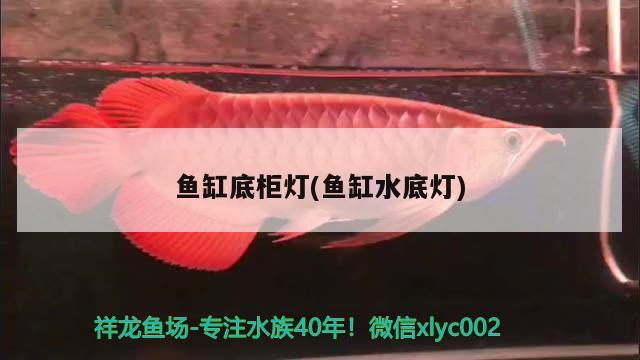 魚缸底柜燈(魚缸水底燈) 魚缸清潔用具