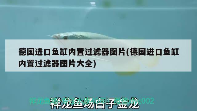 德國(guó)進(jìn)口魚(yú)缸內(nèi)置過(guò)濾器圖片(德國(guó)進(jìn)口魚(yú)缸內(nèi)置過(guò)濾器圖片大全) 紅龍專(zhuān)用魚(yú)糧飼料