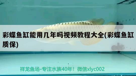 彩蝶魚(yú)缸能用幾年嗎視頻教程大全(彩蝶魚(yú)缸質(zhì)保) 狗頭魚(yú)